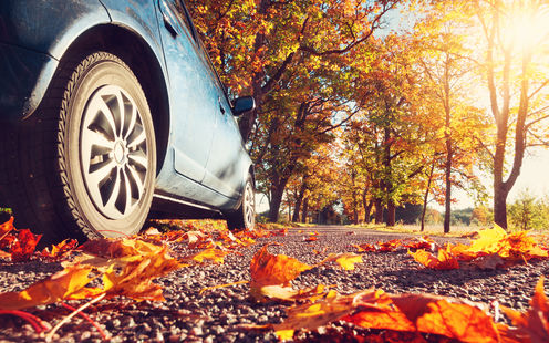 Viaggiando in autunno: buona visibilità di tutti gli utenti stradali