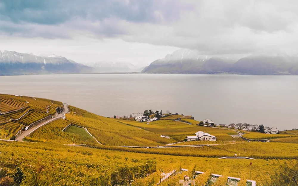 Lavaux vignoble en terrasses - ©Maude Rion