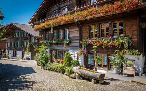 Damenausfahrt nach Brienz und zu den Swiss Alpine Herbs 