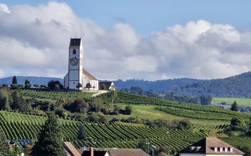 Herbstausflug 2024 Besuch der Hallauer Weinberge