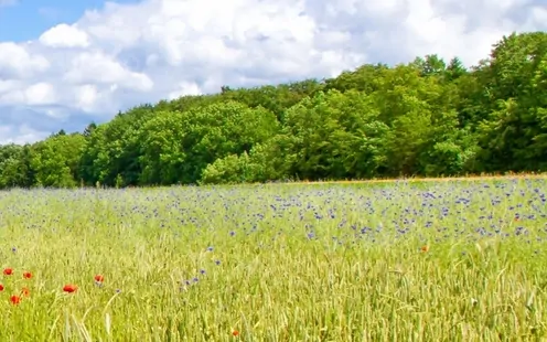 Révision de printemps de la moto