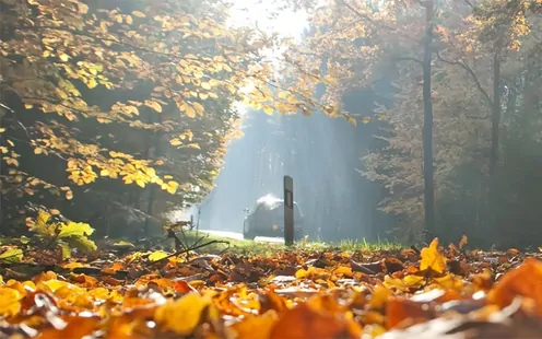 Conduire en sécurité en automne