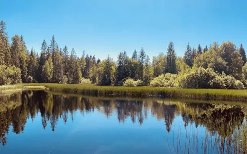 5 destinazioni autunnali da scoprire in Svizzera 