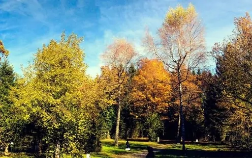 Camping de la Forêt