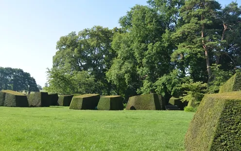 Arbres remarquables : immersion nature avec Anthony Leclerc