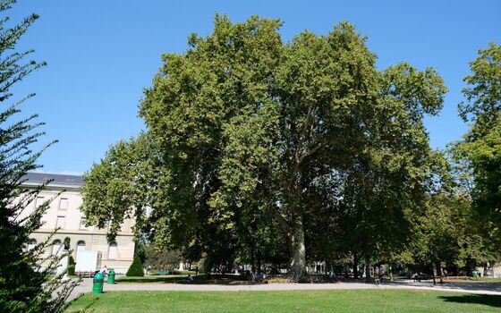 La Belle promenade : entre histoire et nature