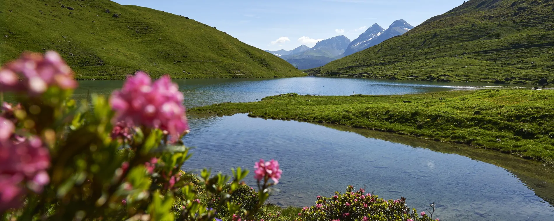 Regionalgruppe Arosa - Innerschanfigg (GR1)