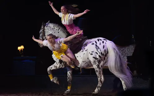 Spectacle de cirque et d’art équestre d’Analya création