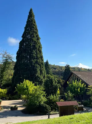 Arboretum à Aubonne et Maison de la Rivière 