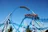 CONCOURS Europa-Park CONCOURS Europa-Park
