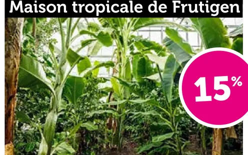 Maison tropicale de Frutigen