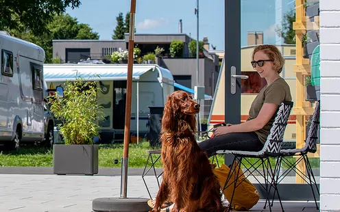 Il piccolo galateo dei cani del TCS Camping