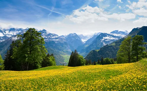 Über die Sektion Glarus