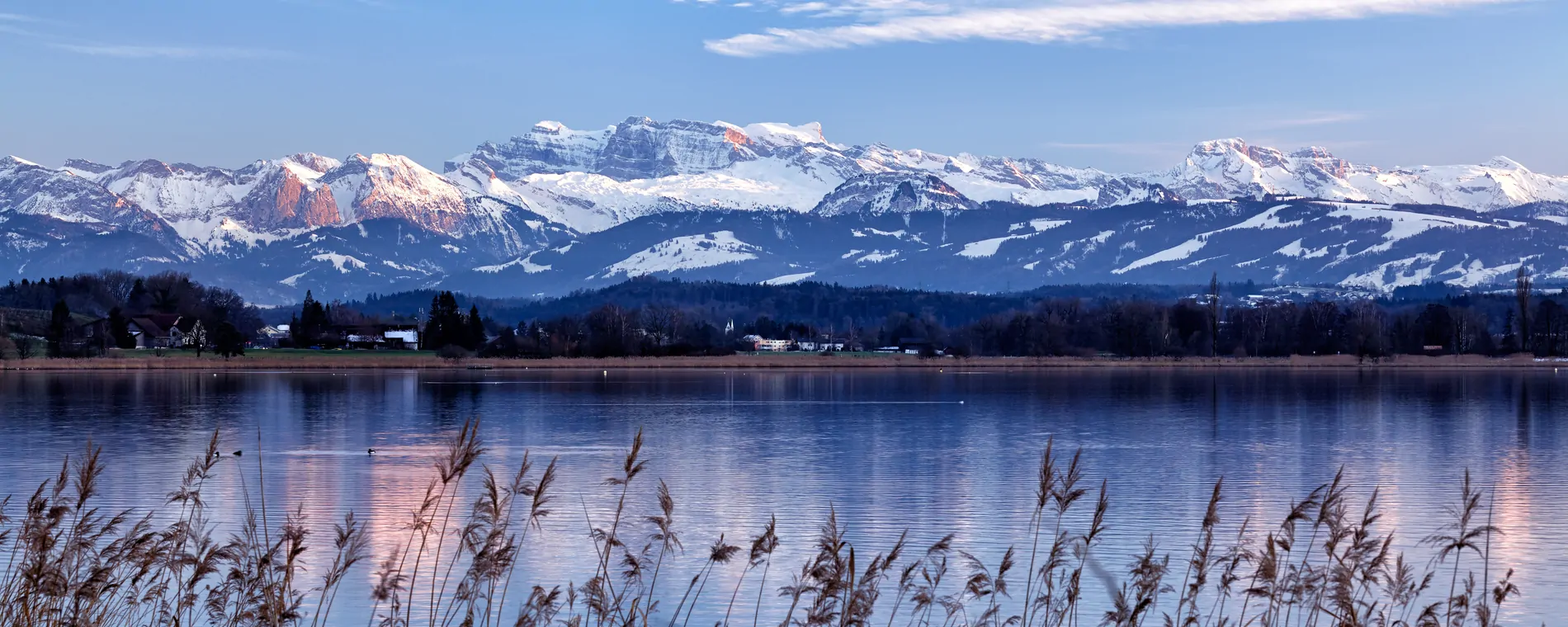 Gruppe Zürcher Oberland