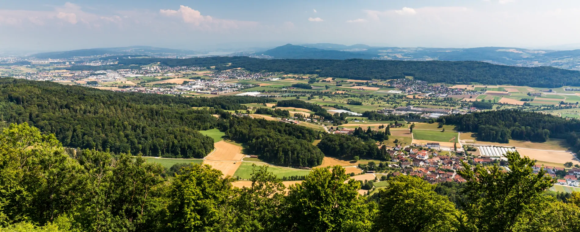 Gruppe Zürcher Unterland