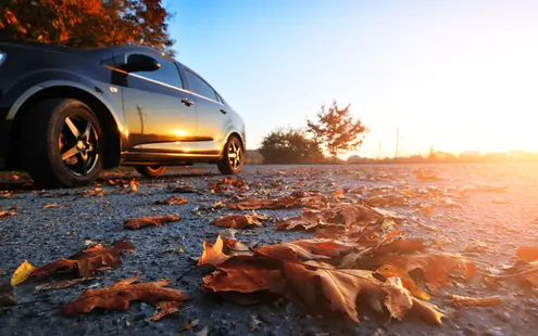 L’automne sur les routes: Conseils du TCS