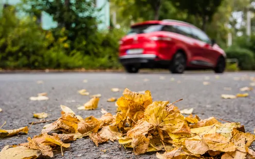 Ratschläge des TCS für einen sorgenfreien Herbst