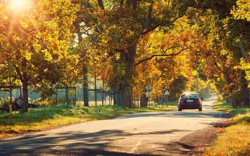 Sécurité en voiture : comment mettre les chances de son côté ?