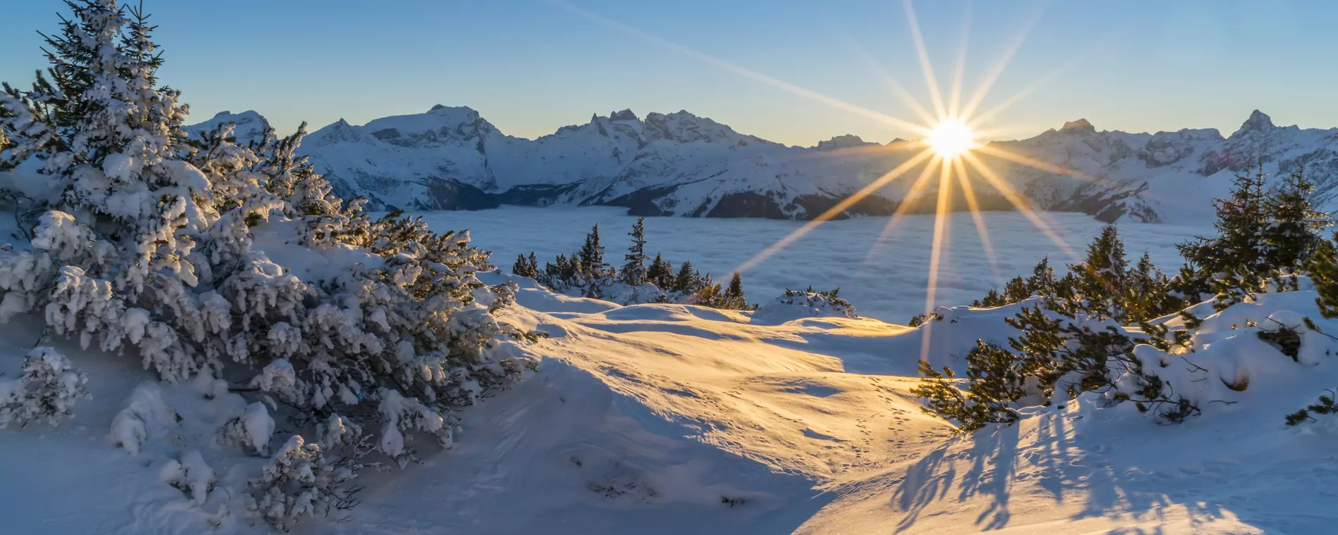 Fêtes de fin d'année