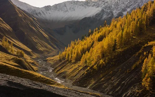 Herbst, zwischen Licht und Schatten